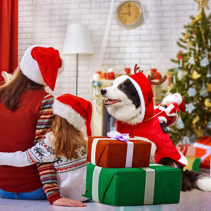 Christmas Rider Costumes for Dogs — product detail