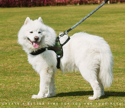 Chest harness dog leash — product detail