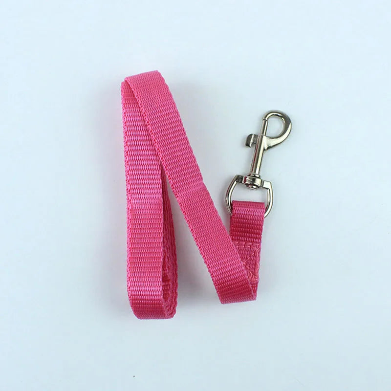 Lightweight Nylon Pet Leash — product detail