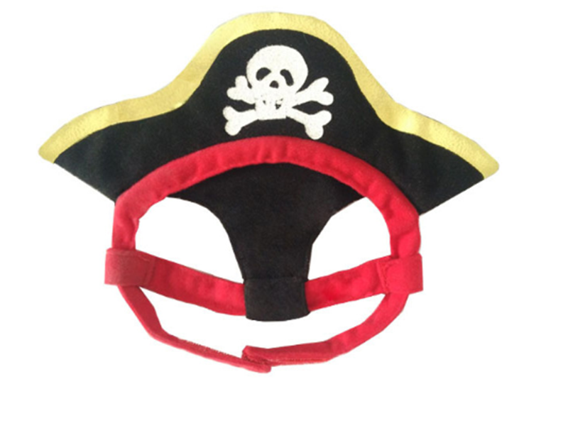 Teddy Pirate Transformed Into Pet Costume — product detail