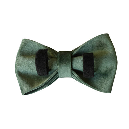 Green Velvet Dog Collar Dog Leash Pet Collar — product detail