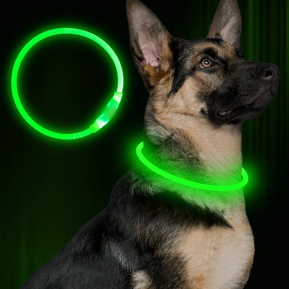 USB-Rechargeable Light-Up Dog Collar — product detail