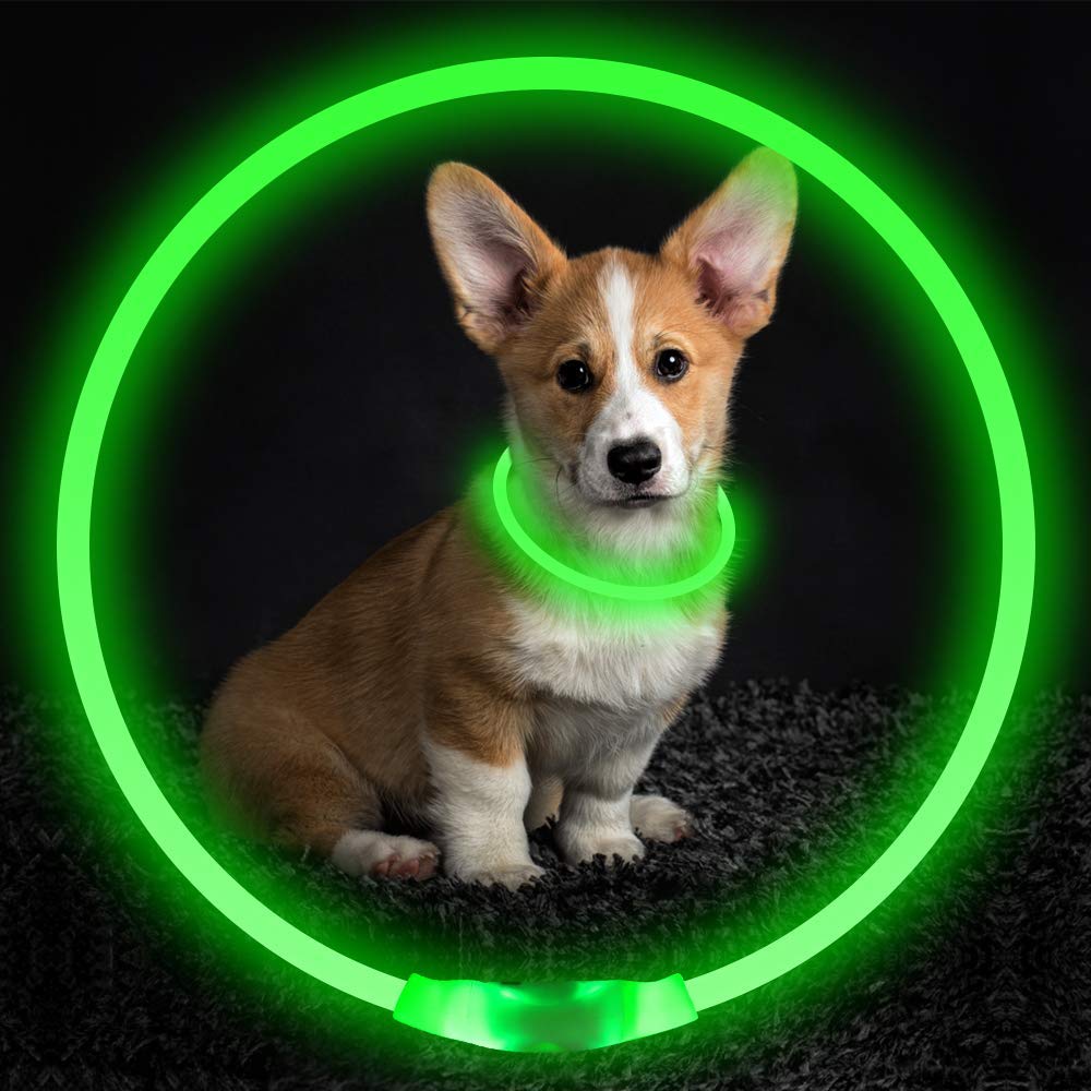 USB-Rechargeable Light-Up Dog Collar — product detail