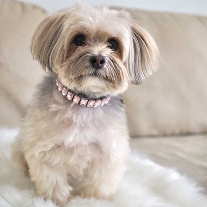 PU Dog  Cat Collar — product detail