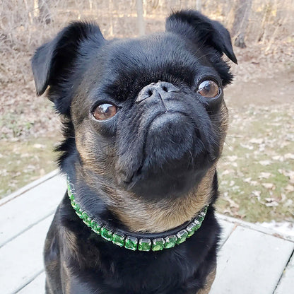 PU Dog  Cat Collar — product detail