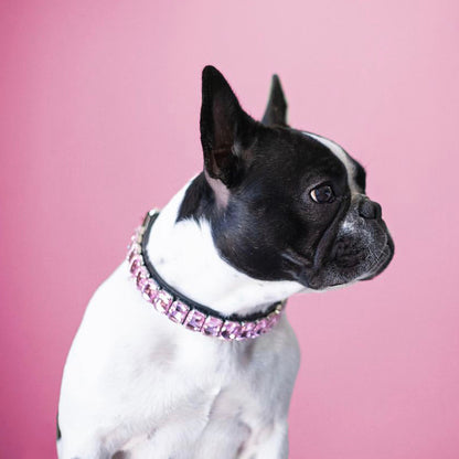 PU Dog  Cat Collar — product detail