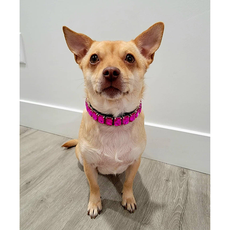 PU Dog  Cat Collar — product detail