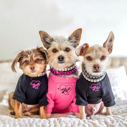PU Dog  Cat Collar — product detail