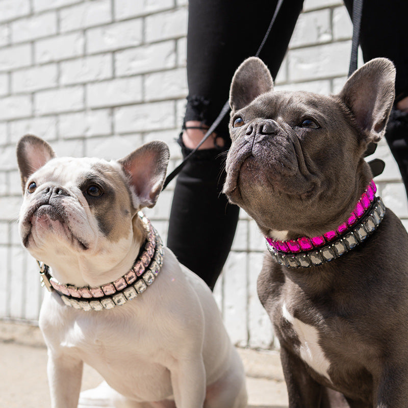 PU Dog  Cat Collar — product detail