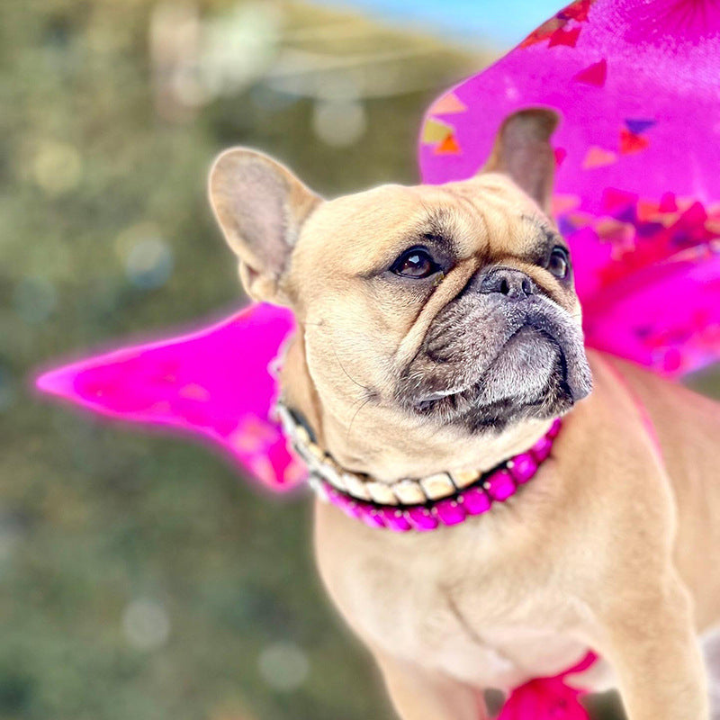 PU Dog  Cat Collar — product detail