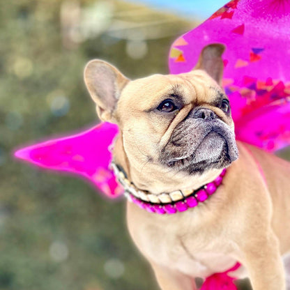 PU Dog  Cat Collar — product detail