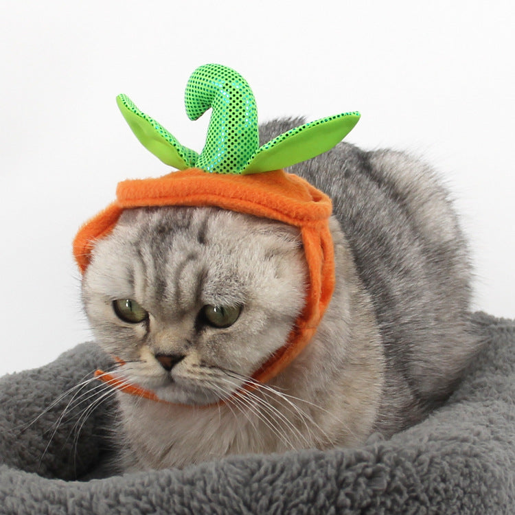 Pumpkin Pet Costume — product detail