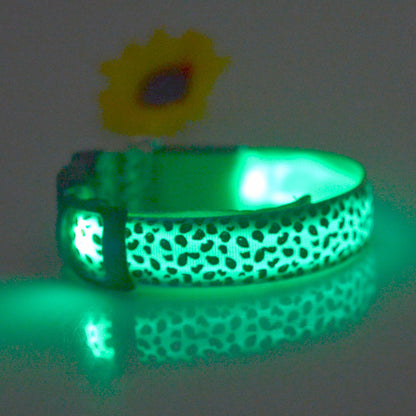 LED Dog Collar Safety Adjustable Nylon Leopard Pet Collar — product detail