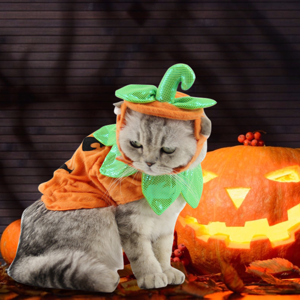 Pumpkin Pet Costume — product detail
