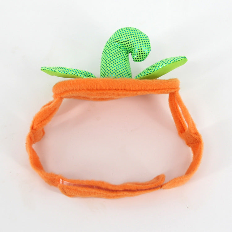 Pumpkin Pet Costume — product detail