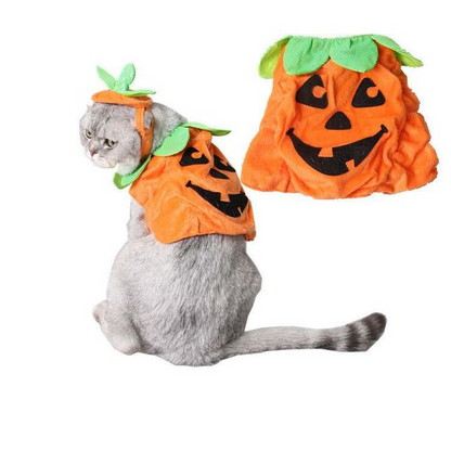 Pumpkin Pet Costume — product detail