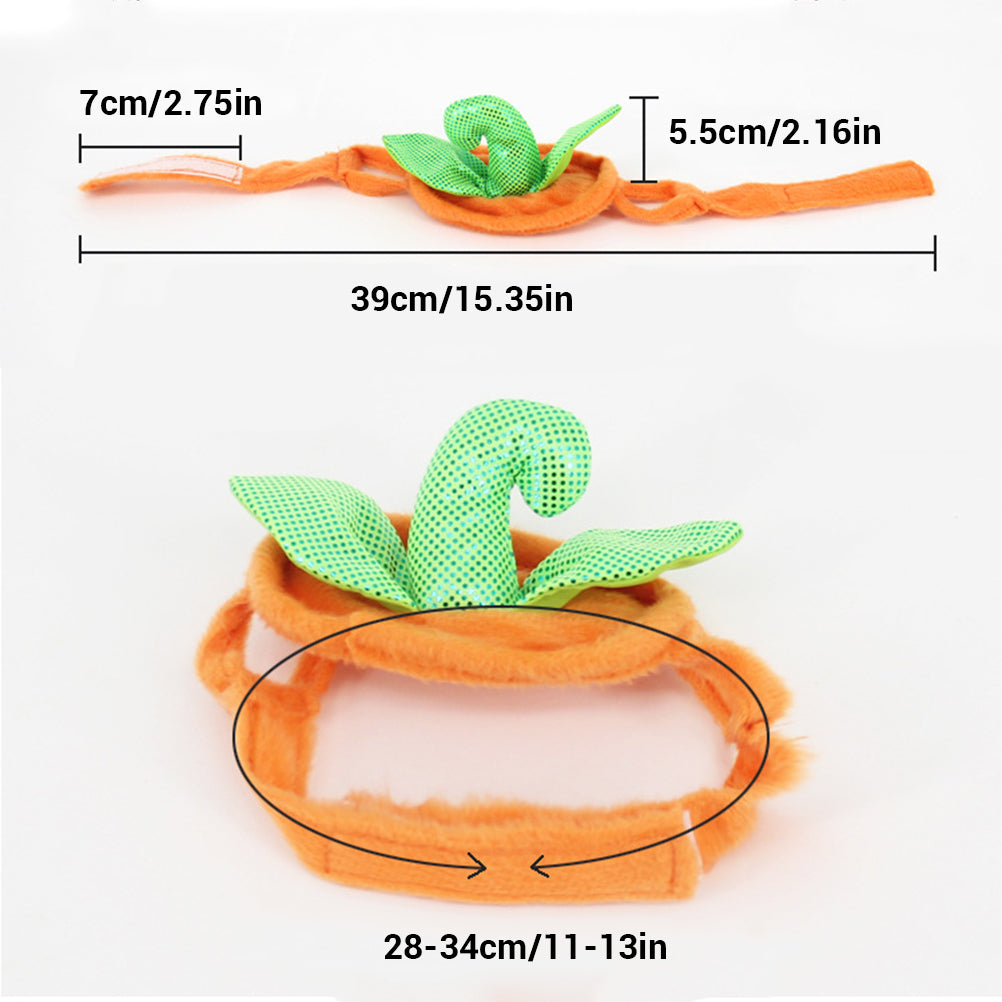 Pumpkin Pet Costume — product detail
