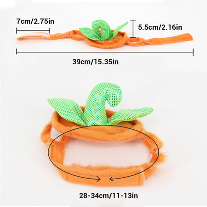 Pumpkin Pet Costume — product detail