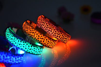 LED Dog Collar Safety Adjustable Nylon Leopard Pet Collar — product detail