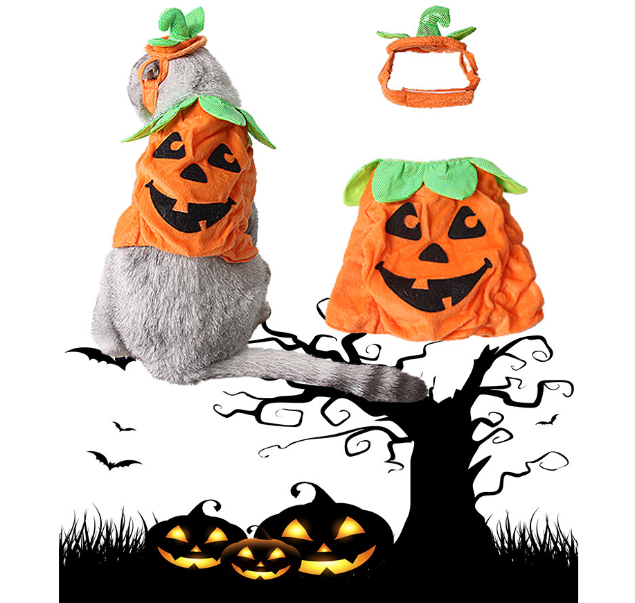 Pumpkin Pet Costume — product detail