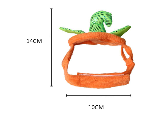 Pumpkin Pet Costume — product detail