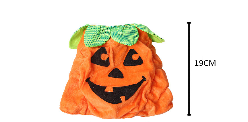 Pumpkin Pet Costume — product detail