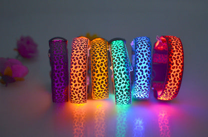 LED Dog Collar Safety Adjustable Nylon Leopard Pet Collar — product detail