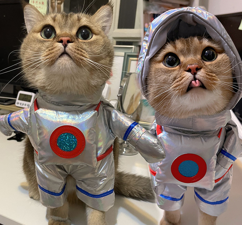 Astronaut Pet Costume — product detail