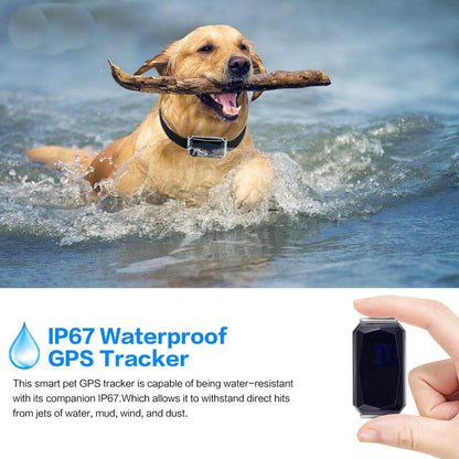 Pet Tracking Locator — product detail
