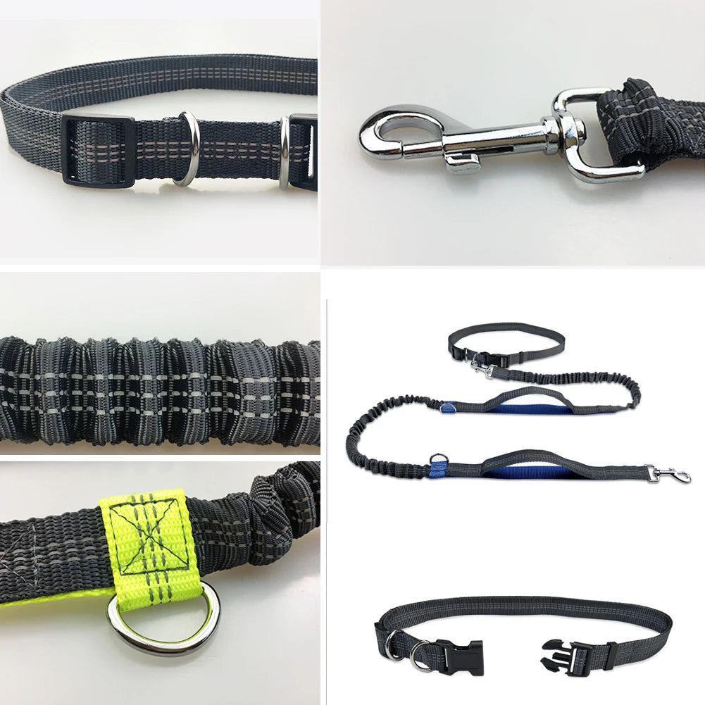 Reflective Hands-Free Running Dog Leash — product detail
