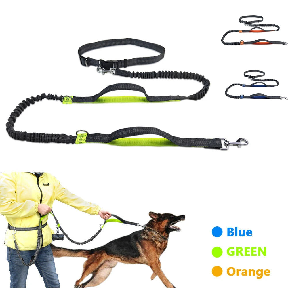 Reflective Hands-Free Running Dog Leash — product detail