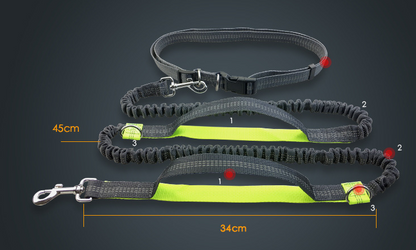 Reflective Hands-Free Running Dog Leash — product detail