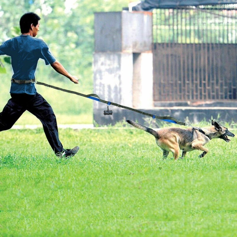 Reflective Hands-Free Running Dog Leash — product detail