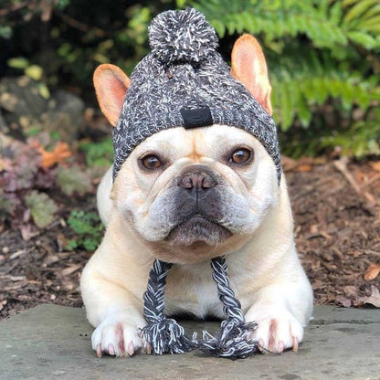 Winter Fashion Dog Hat Windproof Fluffy Knitted Polar Pom Hat — product detail