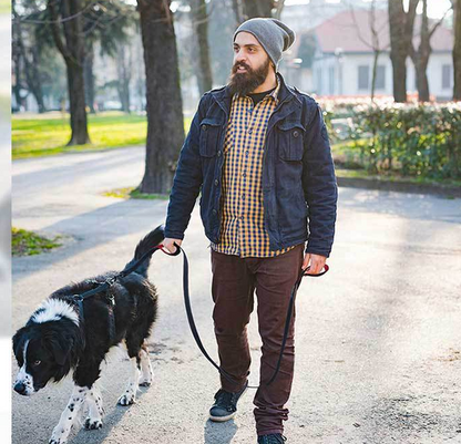 Pet Double Handle Pull Leash — product detail