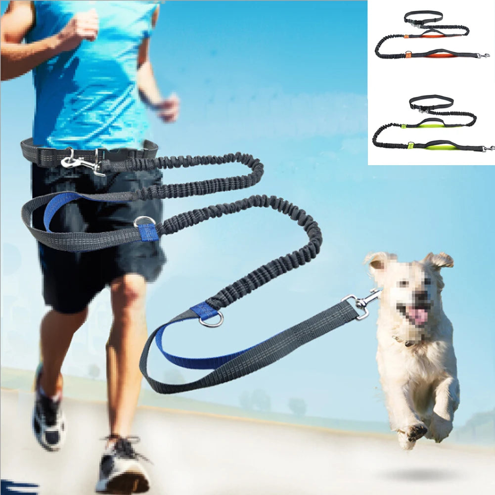 Reflective Hands-Free Running Dog Leash — product detail