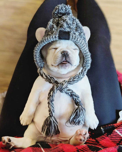 Winter Fashion Dog Hat Windproof Fluffy Knitted Polar Pom Hat — product detail