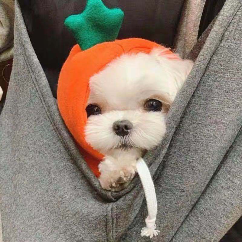 Hooded Pet Costume Outfits — product detail