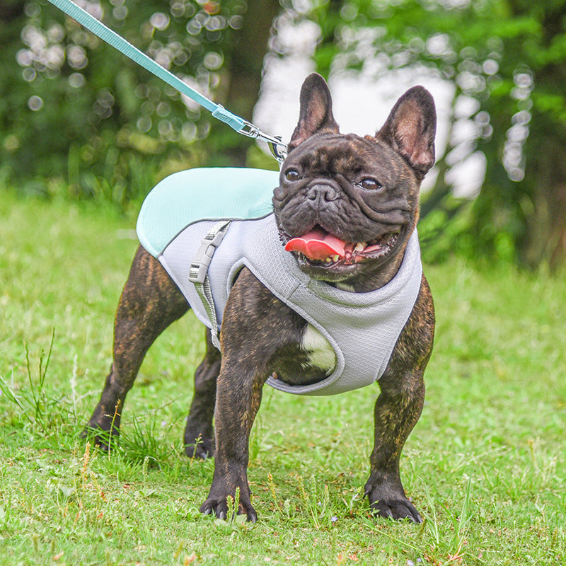 Summer Pet Outdoor Breathable Cooling Vest — product detail