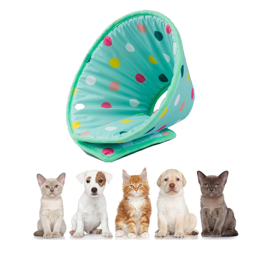 Anti Lick And Scratch Protection Ring For Pet Products — product detail