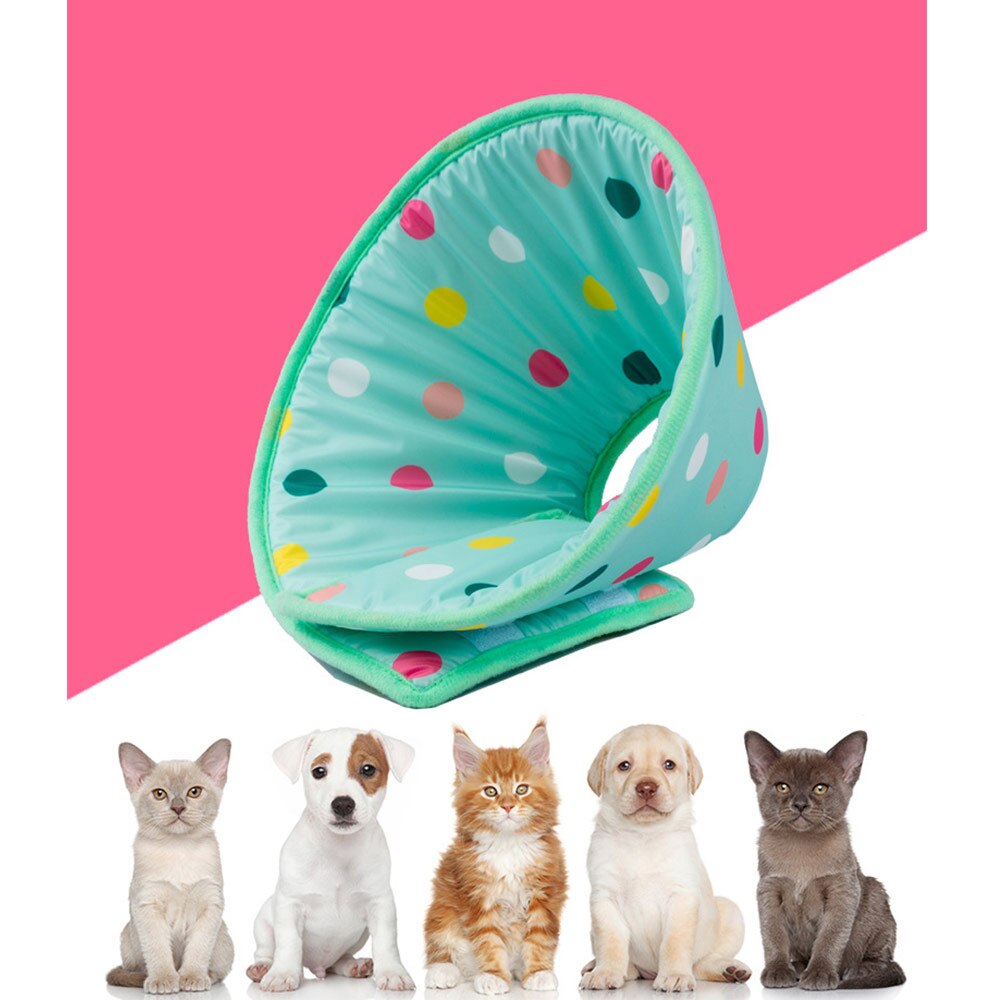 Anti Lick And Scratch Protection Ring For Pet Products — product detail