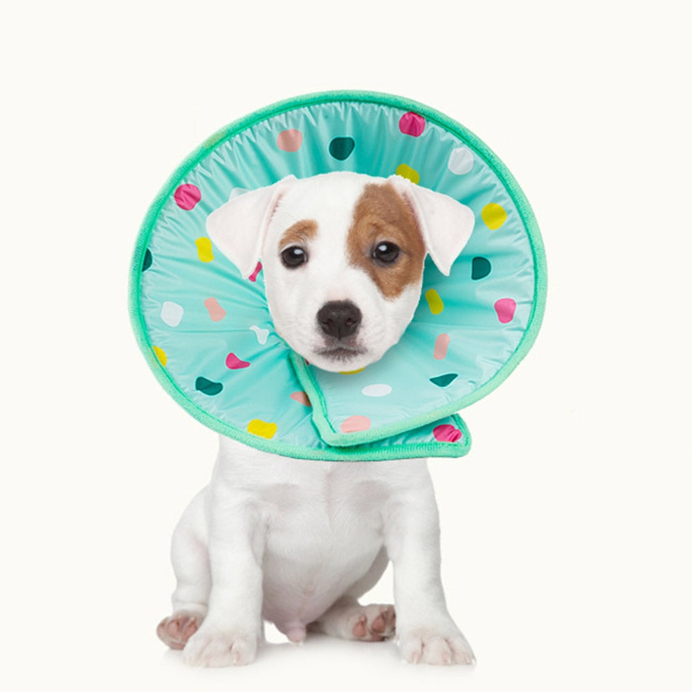 Anti Lick And Scratch Protection Ring For Pet Products — product detail