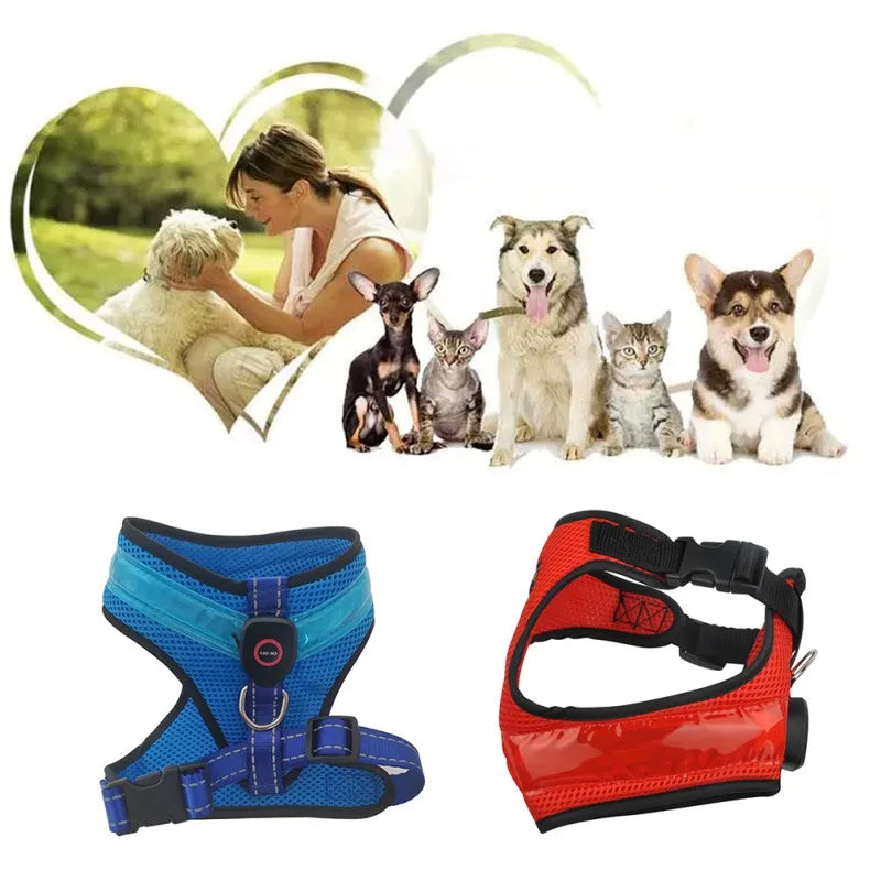 USB-Rechargeable LED Dog Harness — product detail