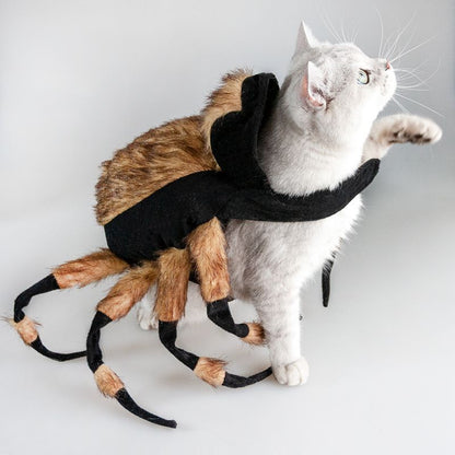 Pet Spiders Change Costumes — product detail