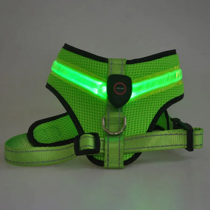 USB-Rechargeable LED Dog Harness — product detail
