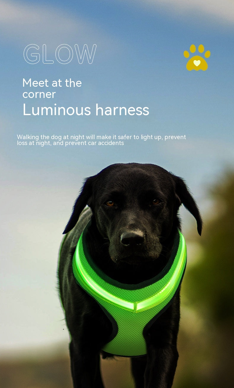 USB-Rechargeable LED Dog Harness — product detail