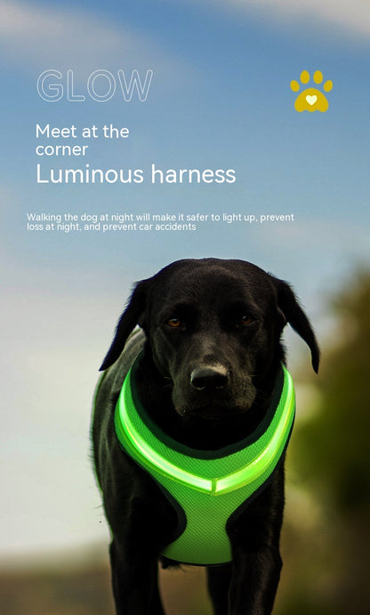 USB-Rechargeable LED Dog Harness — product detail