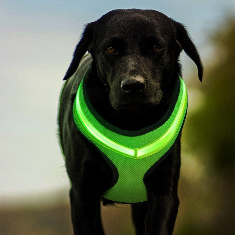 USB-Rechargeable LED Dog Harness — product detail