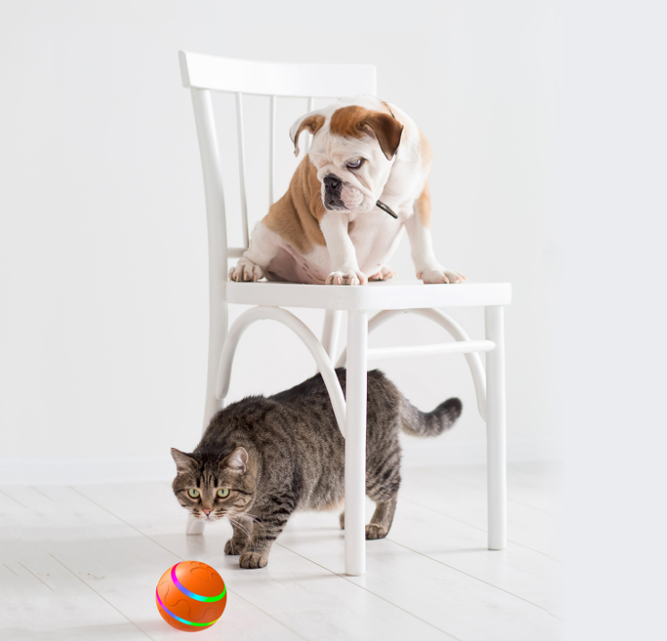 Interactive Rolling Cat Balls — product detail