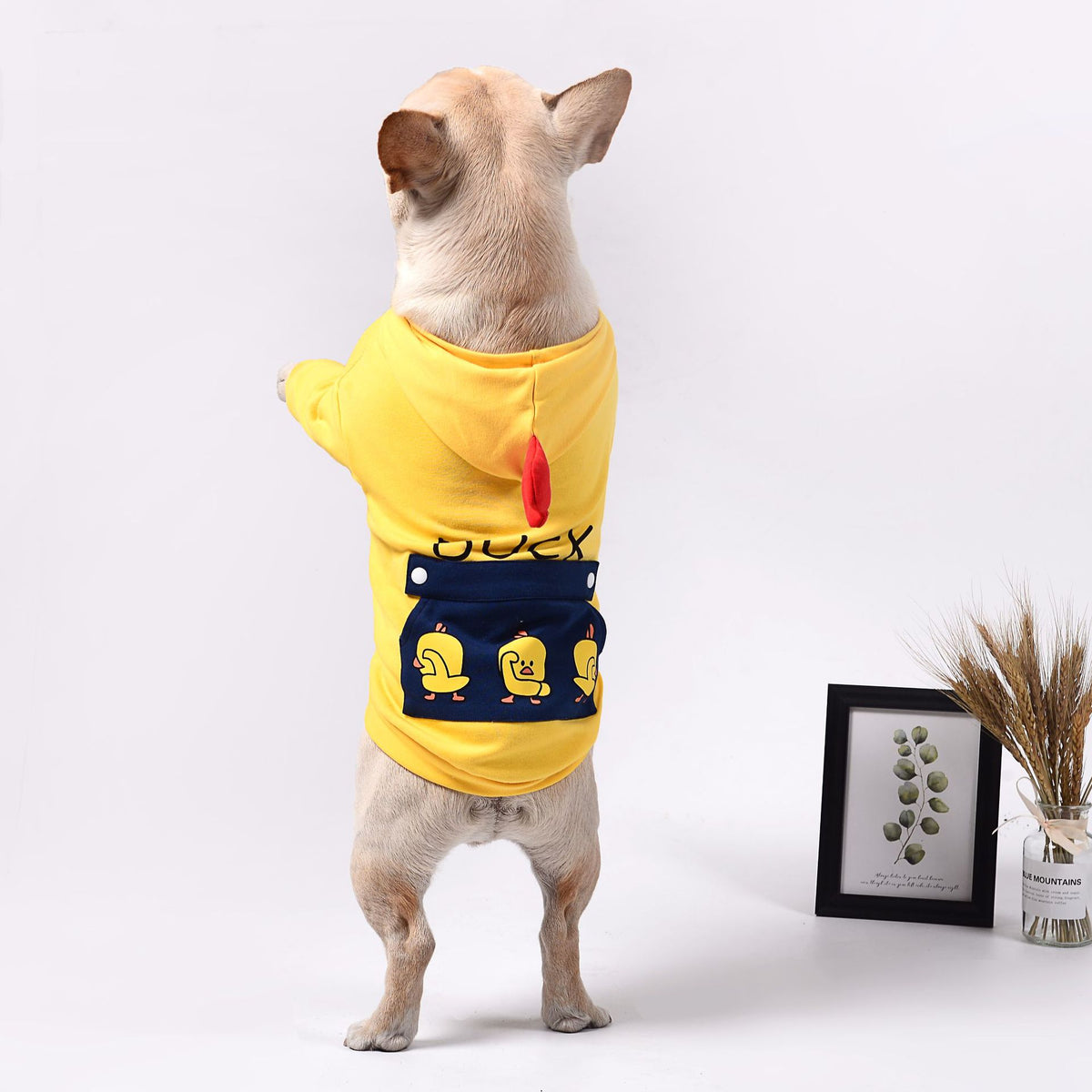 Pet dog clothes — product detail
